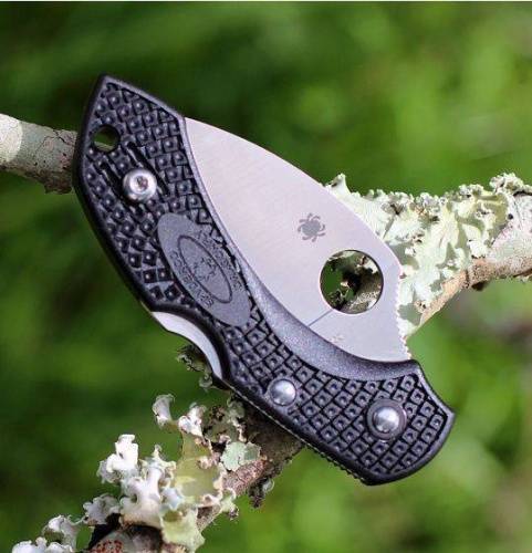 5891 Spyderco Dragonfly 2 Wharncliffe C28FPWCBK2 фото 10