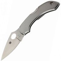 Складной нож Dragonfly 2 - Spyderco 28P можно купить по цене .                            