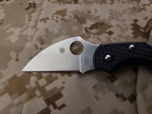 5891 Spyderco Dragonfly 2 Wharncliffe C28FPWCBK2 фото 7