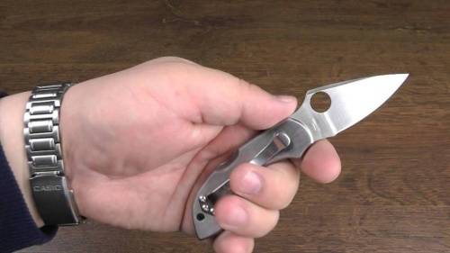 5891 Spyderco Dragonfly 2 - 28P фото 22