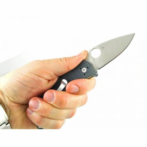 5891 Spyderco Alcione 222GPGY фото 23