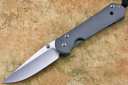 3810 Chris Reeve Large Sebenza 21 Polished Blade фото 9