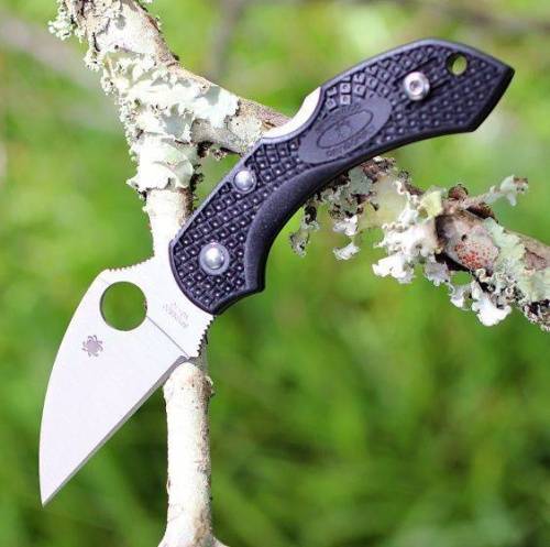 5891 Spyderco Dragonfly 2 Wharncliffe C28FPWCBK2