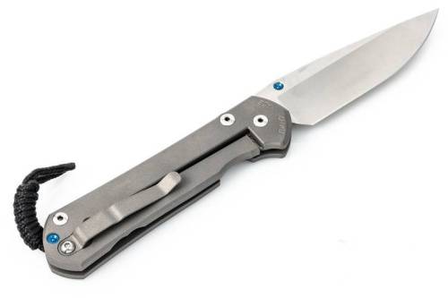 3810 Chris Reeve Large Sebenza 21 Polished Blade фото 3