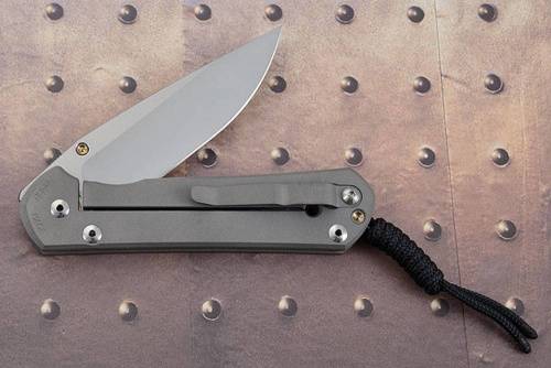 3810 Chris Reeve Large Sebenza 21 Unique Graphics Tanked фото 6