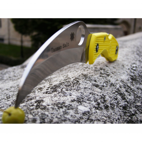 Складной нож Spyderco Tasman Salt™ 106PYL фото 24